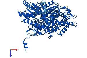 UROC1 Protein (AA 1-676) (His tag)
