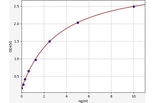 HNF1A ELISA Kit