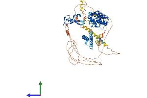 Protein Structure (PS) image for Hepatocyte Growth Factor-Regulated tyrosine Kinase Substrate (HGS) (AA 1-775) protein (His tag) (ABIN7564894)