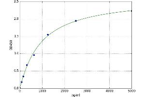 Annexin A4 (ANXA4) ELISA Kit