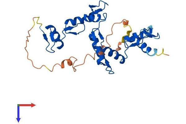 ZNF32 Protein (AA 1-273) (His tag)