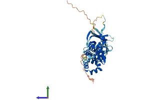 AlphaFold protein structure predicition of Mouse Recombinant Tdpoz4 Protein, UniprotID Q6YCH2