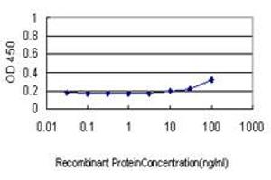 Detection limit for recombinant GST tagged BAD is approximately 30ng/ml as a capture antibody. (BAD Antikörper  (AA 69-168))