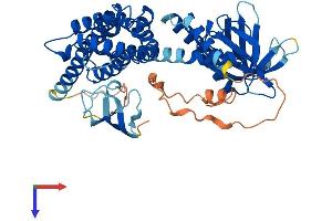 ARHGEF4 Protein (AA 1-484) (His tag)