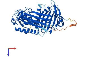 SERPINB8 Protein (AA 1-374) (His tag)