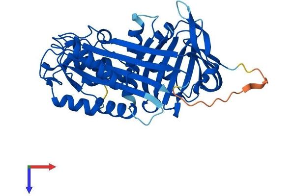 SERPINB8 Protein (AA 1-374) (His tag)