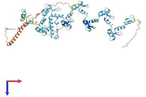 AlphaFold protein structure predicition of Human Recombinant ZNF429 Protein, UniprotID Q86V71
