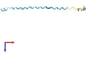 SPRR2G Protein (AA 1-76) (Fc Tag)
