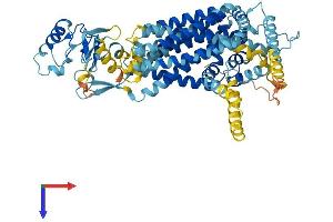 Solute Carrier Family 44, Member 3 (SLC44A3) (AA 1-653) protein (His tag)