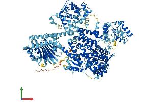 AlphaFold protein structure predicition of Mouse Recombinant Pol Protein, UniprotID P11369 (Pol (AA 1-1281) protein (His tag))