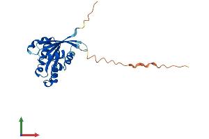 AlphaFold protein structure predicition of Human Recombinant RAB6B Protein, UniprotID Q9NRW1 (RAB6B Protein (AA 1-208) (His tag))