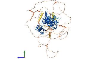 Protein Structure (PS) image for tyrosine Kinase, Non-Receptor, 2 (TNK2) (AA 1-1055) protein (His tag) (ABIN7562457)