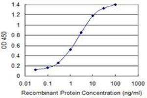 Detection limit for recombinant GST tagged GATA3 is 0. (GATA3 Antikörper  (AA 103-200))