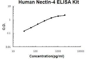 Human Nectin-4 PicoKine ELISA Kit standard curve