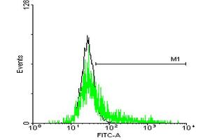 FACS analysis of negative control 293 cells (Black) and SSR1 expressing 293 cells (Green) using SSR1 purified MaxPab mouse polyclonal antibody. (SSR1 Antikörper  (AA 1-286))