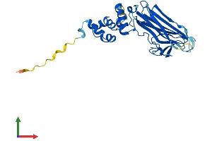 Protein Structure (PS) image for F-Box Protein 17 (FBXO17) (AA 1-278) protein (His tag) (ABIN7547716)
