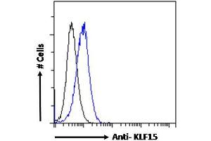 ABIN184761 Flow cytometric analysis of paraformaldehyde fixed HepG2 cells (blue line), permeabilized with 0. (KLF15 Antikörper  (N-Term))