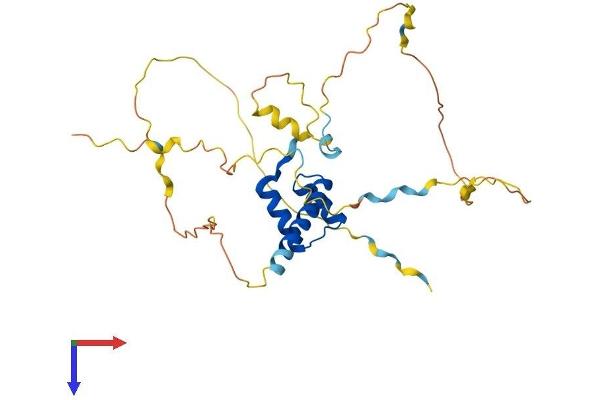 PDX1 Protein (AA 1-284) (His tag)