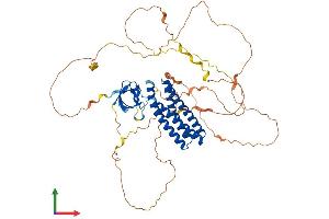 AlphaFold protein structure predicition of Human Recombinant EFS Protein, UniprotID O43281