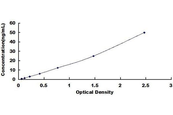 ADCY1 ELISA Kit