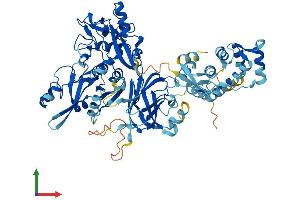 Protein Structure (PS) image for Calpain 12 (CAPN12) (AA 1-719) protein (His tag) (ABIN7552798)