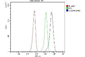 Flow Cytometry analysis of SiHa cells using anti-Caspase 4 antibody (ABIN5693193). (Caspase 4 Antikörper  (AA 111-194))