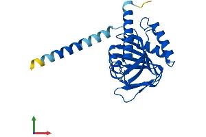 Protein Structure (PS) image for sigma Non-Opioid Intracellular Receptor 1 (SIGMAR1) (AA 1-223) protein (His tag) (ABIN7555502)