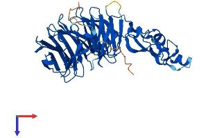 WDFY1 Protein (AA 1-410) (His tag)