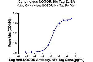 Immobilized Cynomolgus NOGOR, His Tag at 1 μg/mL (100 μL/Well) on the plate. (Reticulon 4 Protein (RTN4) (AA 27-447) (His tag))