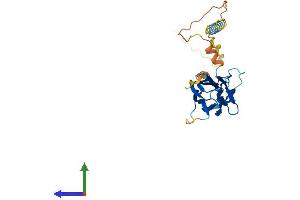 Protein Structure (PS) image for Tumor Necrosis Factor (Ligand) Superfamily, Member 9 (TNFSF9) (AA 1-254) protein (His tag) (ABIN7544427)