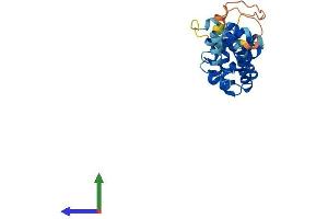 Protein Structure (PS) image for Coiled-Coil Domain Containing 103 (CCDC103) (AA 1-242) protein (His tag) (ABIN7552975)