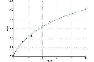 A typical standard curve