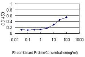 Detection limit for recombinant GST tagged CAP1 is approximately 0. (CAP1 Antikörper  (AA 1-475))