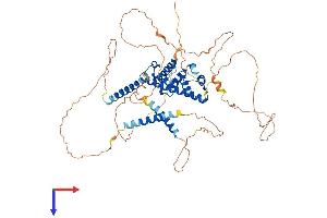 PROX2 Protein (AA 1-593) (His tag)