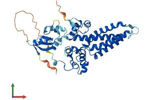 Protein Structure (PS) image for Fatty Acid 2-Hydroxylase (FA2H) (AA 1-372) protein (His tag) (ABIN7547552)