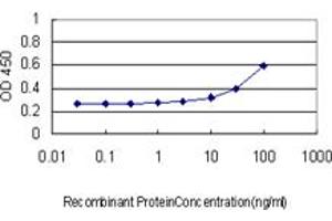 Detection limit for recombinant GST tagged IKZF3 is approximately 10ng/ml as a capture antibody. (IKZF3 Antikörper  (AA 1-509))