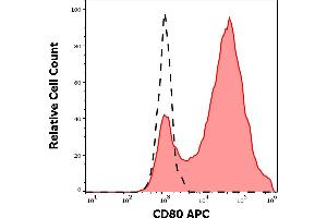 Separation of CD80+ transfected P815 cells (red-filled) from P815 cells (black-dashed) in flow cytometry analysis (surface staining) stained using anti-human CD80 (MEM-233) APC antibody (10 μL reagent per milion cells in 100 μL of cell suspension).