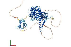 Protein Structure (PS) image for Coactivator-Associated Arginine Methyltransferase 1 (CARM1) (AA 1-608) protein (His tag) (ABIN7565240)