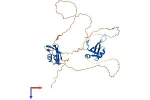 MSI1 Protein (AA 1-362) (His tag)