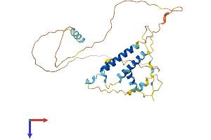 SERTAD2 Protein (AA 1-309) (His tag)