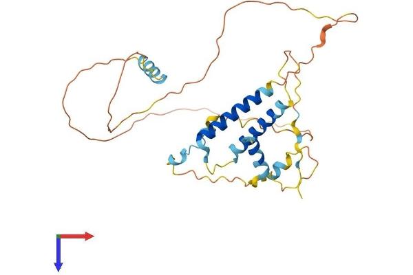 SERTAD2 Protein (AA 1-309) (His tag)