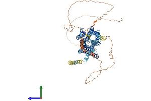 Protein Structure (PS) image for Cholinergic Receptor, Muscarinic 3 (CHRM3) (AA 1-590) protein (His tag) (ABIN7551896)