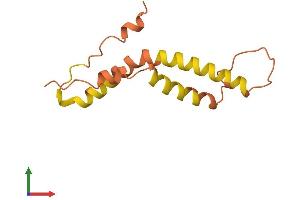 AlphaFold protein structure predicition of Human Recombinant PRR9 Protein, UniprotID Q5T870