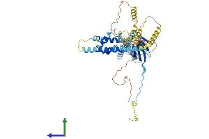 Protein Structure (PS) image for Vang-Like 2 (VANGL2) (AA 1-521) protein (His tag) (ABIN7555958)