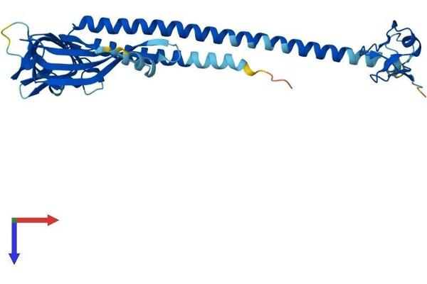 MUL1 Protein (AA 1-352) (His tag)