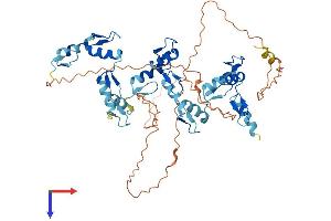 ZNF35 Protein (AA 1-527) (His tag)