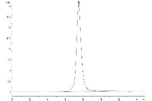 The purity of Mouse IL-18BP is greater than 95 % as determined by SEC-HPLC. (IL18BP Protein (AA 29-193) (Fc Tag))