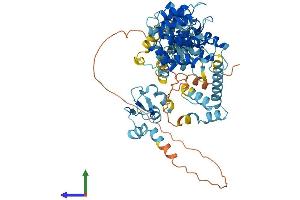 Protein Structure (PS) image for Baculoviral IAP Repeat Containing 3 (BIRC3) (AA 1-604) protein (His tag) (ABIN7552764)
