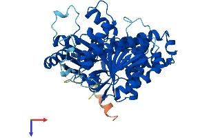 TUBB4 Protein (AA 1-444) (His tag)