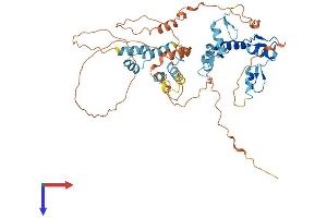 ZNF500 Protein (AA 1-480) (His tag)